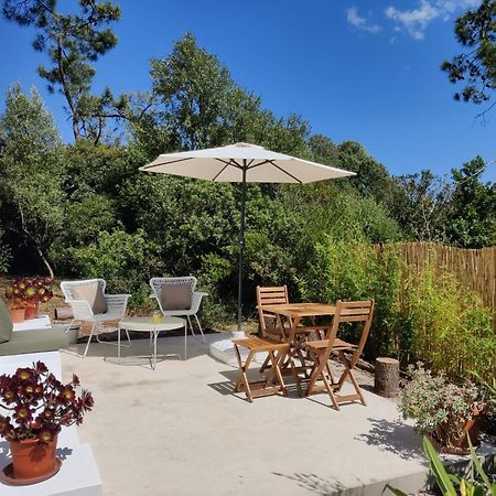 Quinta Do Alento Bed & Breakfast Sesimbra Eksteriør bilde