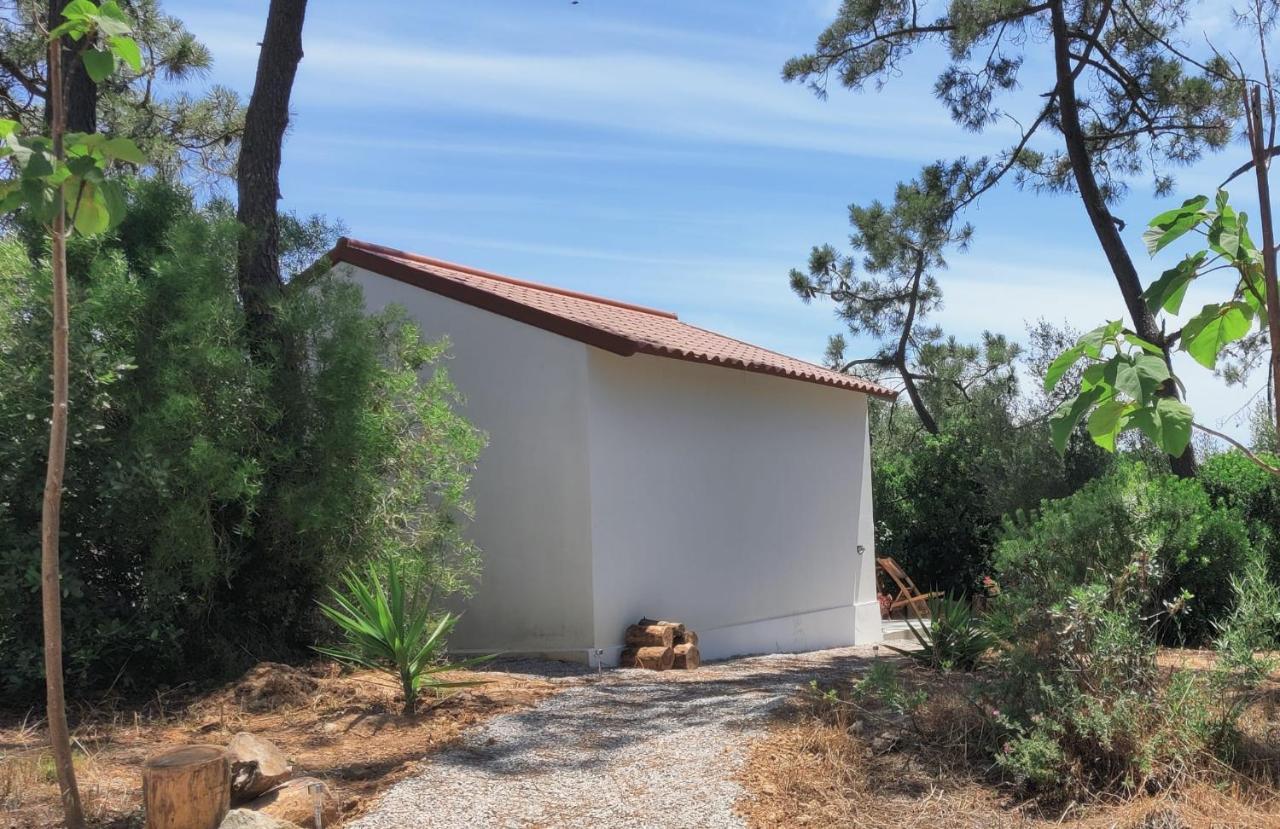 Quinta Do Alento Bed & Breakfast Sesimbra Eksteriør bilde